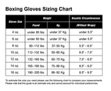 Fairtex Glory Competition Velcro Muay Thai Kickboxing Gloves-Genuine Leather-BGVG1