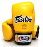 FAIRTEX MUAY THAI STYLE TRAINING GLOVES