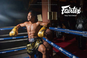 FAIRTEX "FALCON" MUAY THAI STYLE TRAINING GLOVES