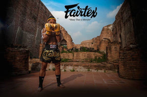 FAIRTEX "FALCON" MUAY THAI STYLE TRAINING GLOVES