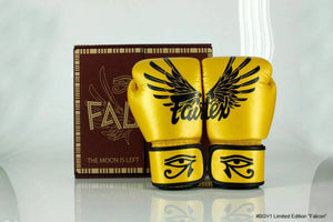 FAIRTEX "FALCON" MUAY THAI STYLE TRAINING GLOVES