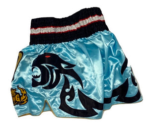 TOP KING MUAY THAI KICKBOXING SHORTS -TKTBS-045