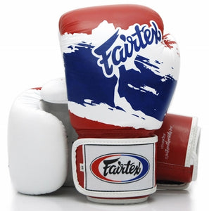 FAIRTEX "THAI PRIDE" MUAY THAI STYLE TRAINING GLOVES